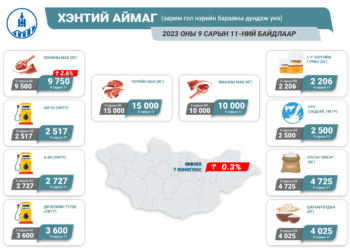 ЗАРИМ ГОЛ НЭРИЙН БАРААНЫ ДУНДАЖ ҮНЭТЭЙ ТАНИЛЦ