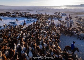 Батноров | “Талын түмэн адуу” эвент арга хэмжээг 3000 орчим жуулчид үзэж сонирхлоо