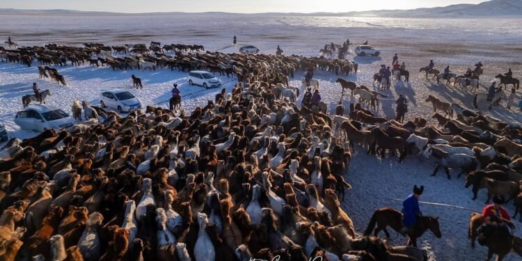 Батноров | “Талын түмэн адуу” эвент арга хэмжээг 3000 орчим жуулчид үзэж сонирхлоо
