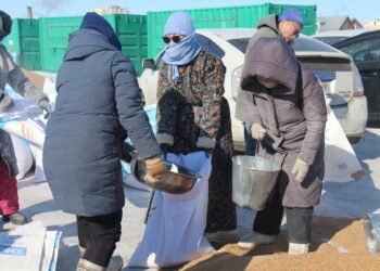 Малчдад олгох 224 тонн улаан буудайг шуудайлах ажил явагдаж байна