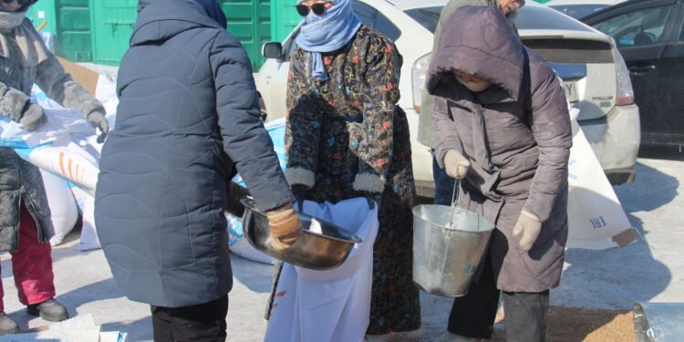 Малчдад олгох 224 тонн улаан буудайг шуудайлах ажил явагдаж байна