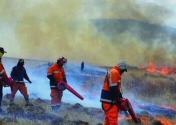 Дорнод аймгийн Матад сумын нутагт гарсан хээрийн түймрийг бүрэн унтраалаа