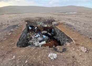 Баян-Овоо сумын сэг зэмийн устгалын ажилтай газар дээр нь танилцлаа