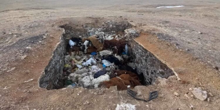 Баян-Овоо сумын сэг зэмийн устгалын ажилтай газар дээр нь танилцлаа