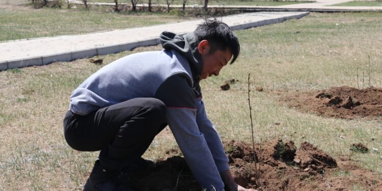 Хэнтий | Аймгийн төвийн 14 цэцэрлэгт хүрээлэнд төрийн 56 байгууллага 1500 мод тарилаа