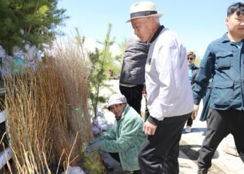 “Ногоон өрх 300” хөтөлбөр Хэрлэн сумын хэмжээнд өрнөнө