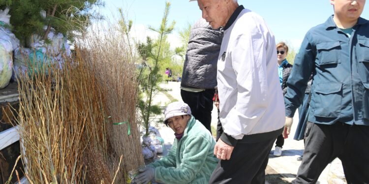 “Ногоон өрх 300” хөтөлбөр Хэрлэн сумын хэмжээнд өрнөнө