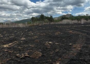 Норовлин суманд гарсан ойн түймрийг бүрэн унтраалаа