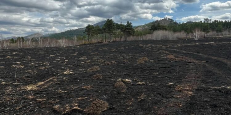 Норовлин суманд гарсан ойн түймрийг бүрэн унтраалаа