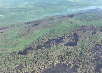 Ой хээрийн 4 түймрийг унтрааж, 6 түймрийг цурамд орууллаа