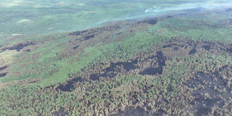 Ой хээрийн 4 түймрийг унтрааж, 6 түймрийг цурамд орууллаа